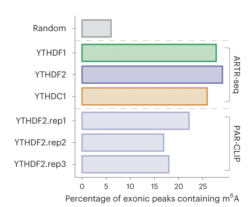 Open access visualization of Bar Plot, Exonic Peaks, m6A Sites, m6A-SAC-seq, m6A Reader Proteins