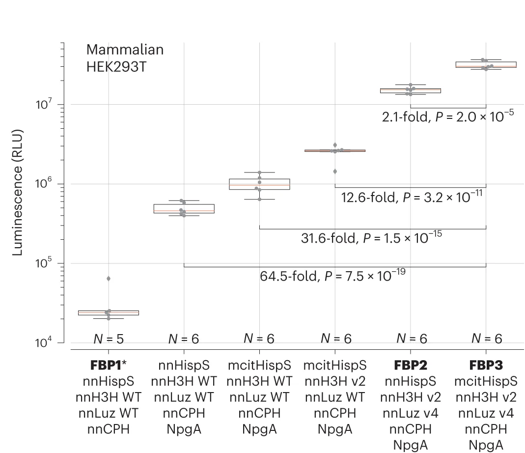 Open access visualization of Box Plot, Mammalian Cells, FBP2, FBP3, Wild-Type Pathway