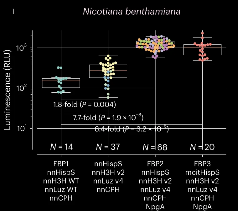Open access visualization of Violin Plot, Box Plot, Scatter Plot, Transgenic Lines, Bioluminescence