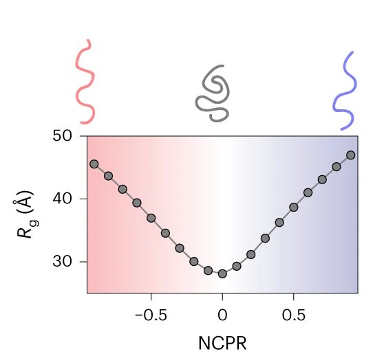 Open access visualization of Line Plot, Scatter Plot, ALBATROSS, Radii of Gyration, NCPR