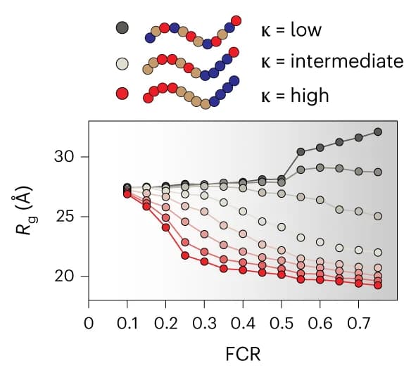 Open access visualization of Line Plot, Scatter Plot, Charged Residues, Radius of Gyration, Sequences