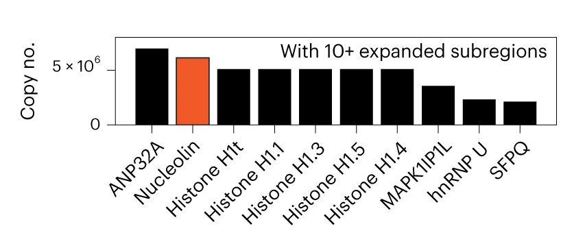 Open access visualization of Bar Plot, Expanded Subregions, Copy Number, HeLa Cell Lines, Proteins