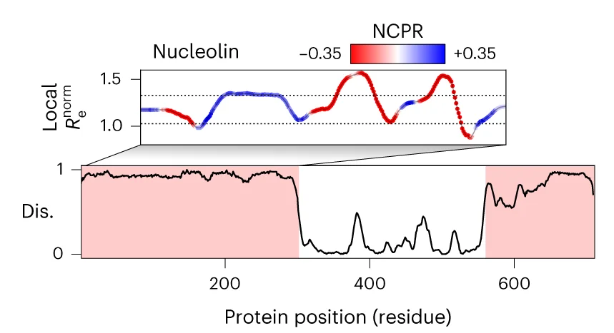 Open access visualization of Line Plot, Scatter Plot, Linear Analysis, IDR, Nucleolar Protein