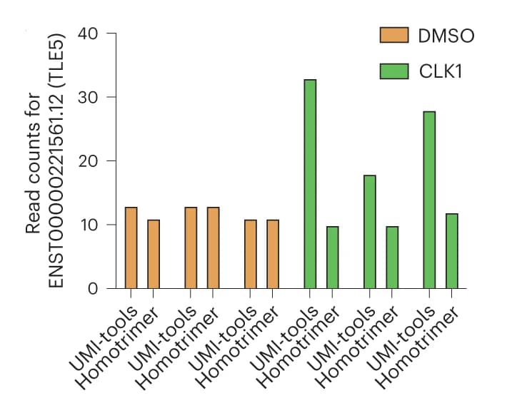 Open access visualization of Bar Plot, Clustered, TLE5 Transcript, DMSO, SGC-CLK1