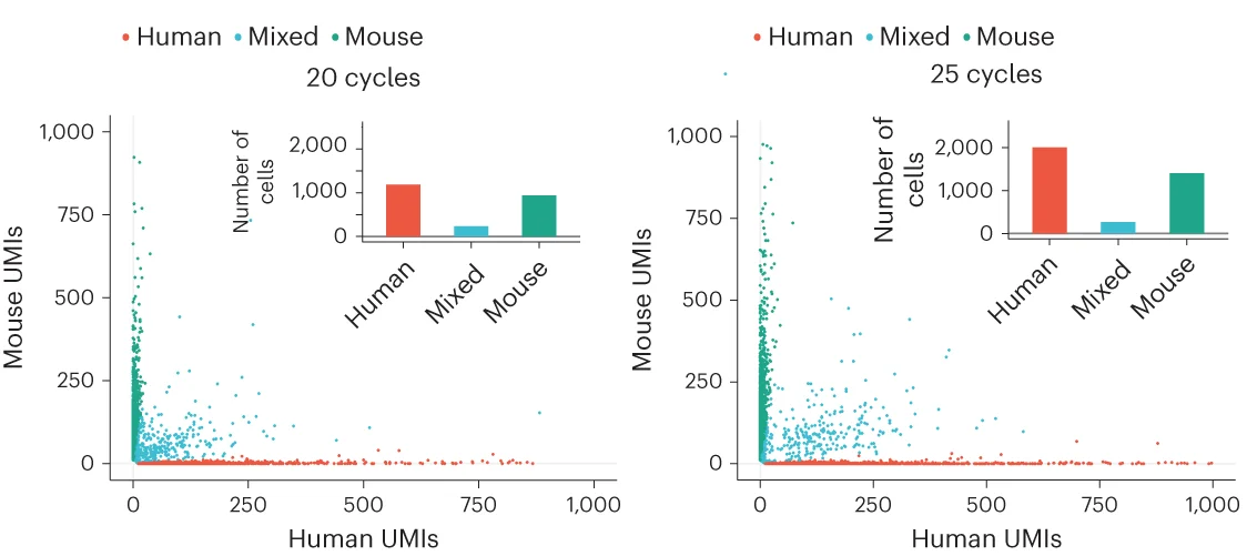 Open access visualization of Scatter Plot, Bar Plot, Human Jurkat Cells, Mouse 5TGM1 Cells, Encapsulation