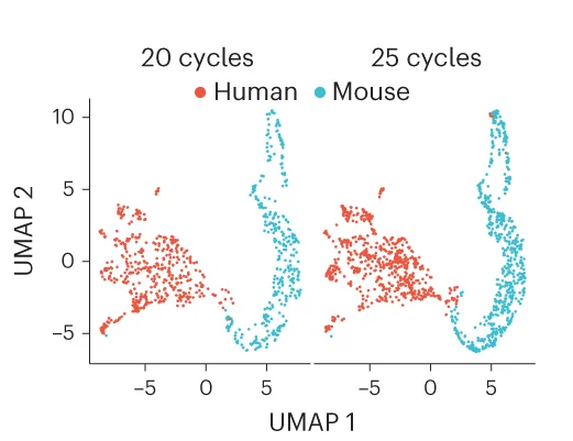 Open access visualization of Scatter Plot, UMAP, 10X Chromium Data, Integration, Clustering