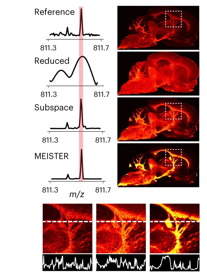 Open access visualization of Line Plot, Microscopy, Mass Spectra, Ion Images, Signal Strength