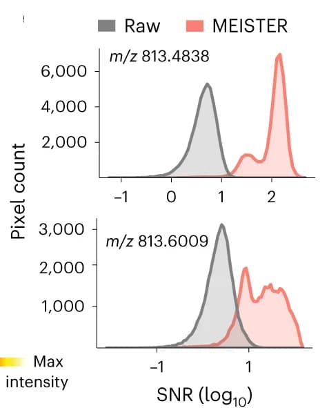 Open access visualization of Density Plot, Line Plot, SNRs, SNR Distributions, Reconstruction