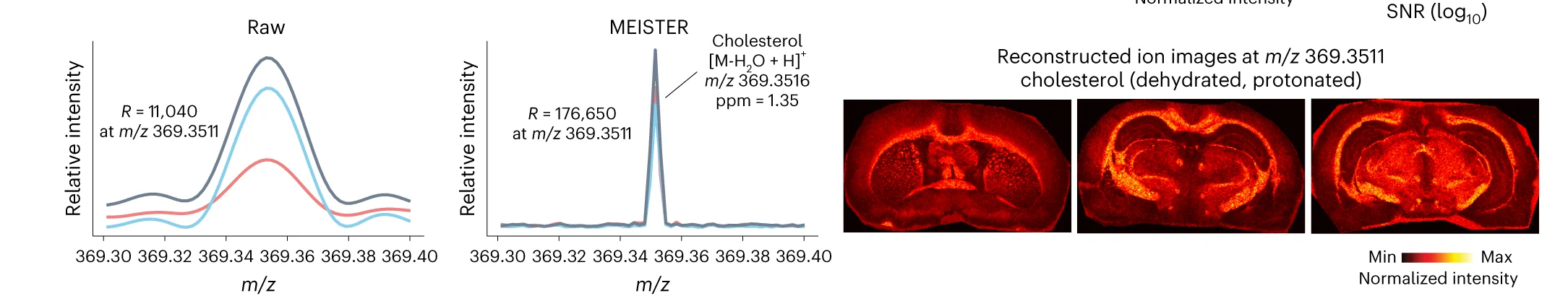 Open access visualization of Line Plot, Heatmap, Mass Spectra, Cholesterol, Ion Images