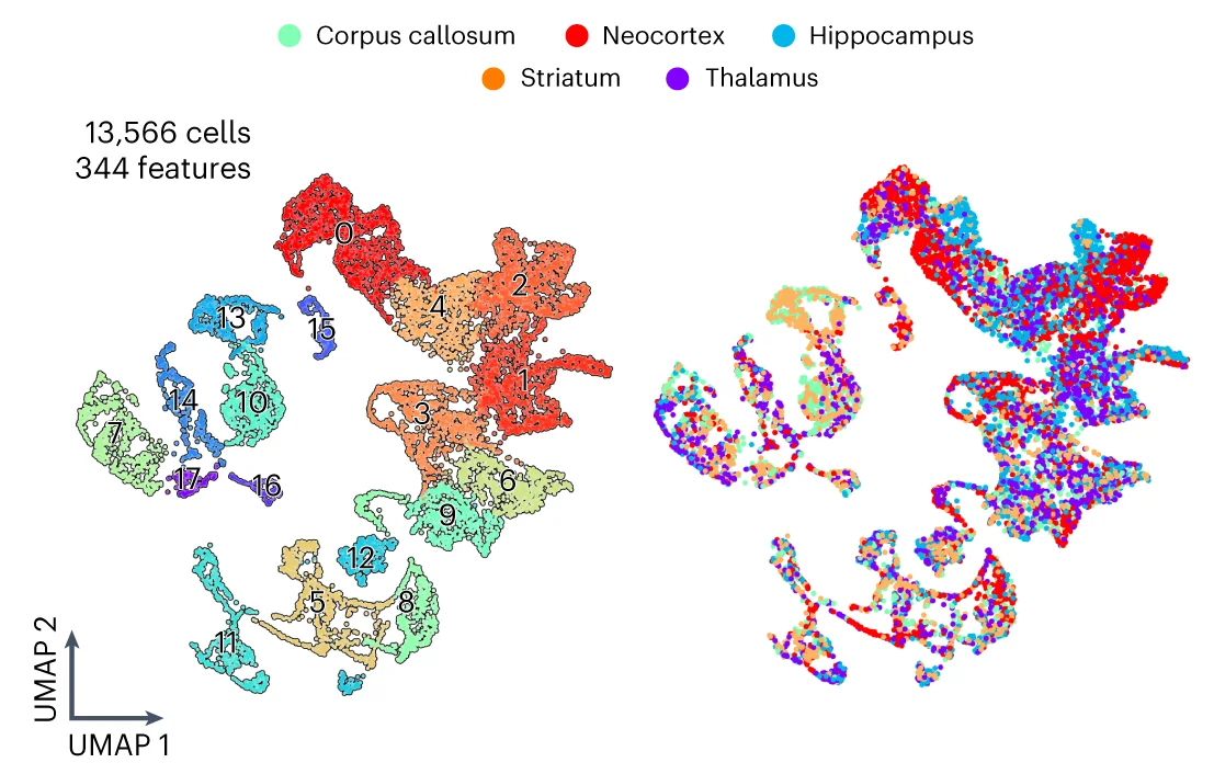 Open access visualization of UMAP, Scatter Plot, Cells, Lipid Features, Cell Clusters