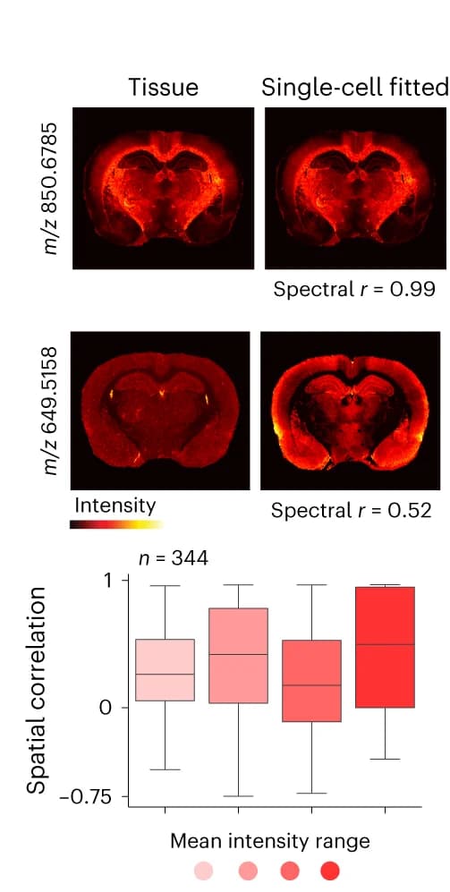 Open access visualization of Box Plot, Microscopy, Lipids, Tissue Images, Single-Cell-Dictionary Fit