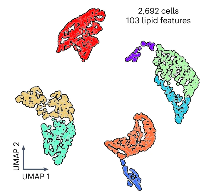 Open access visualization of Scatter Plot, UMAP, Hippocampal Cells, Clustering Analysis, Single-Cell Clusters