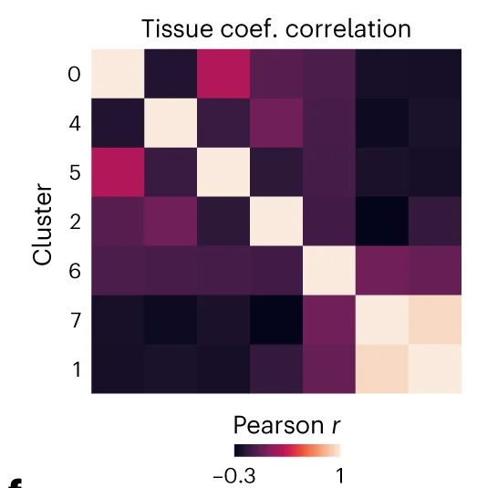 Open access visualization of Heatmap, Correlation Matrix, Weights, Clusters