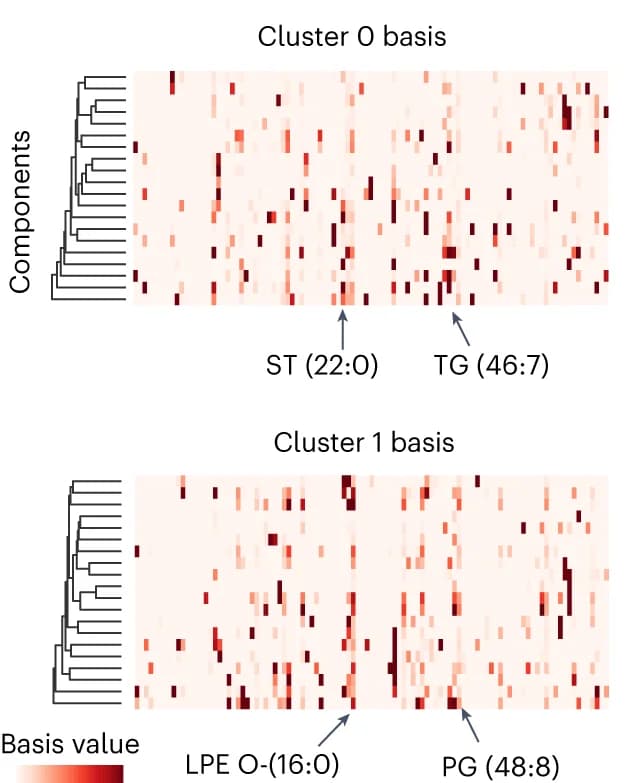 Open access visualization of Heatmap, Clustered, Chemical Dictionaries, Cluster 0, Cluster 1