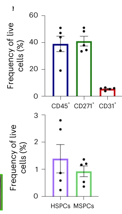 Open access visualization of Bar Plot, Error Bars, Scatter Plot, Cell Quantification, Cell Types