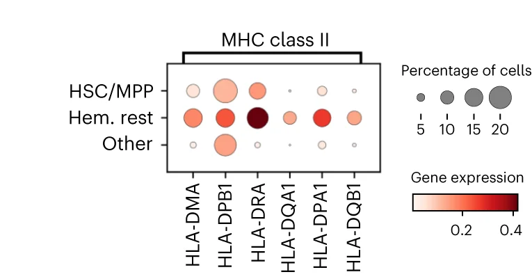 Open access visualization of Bubble Plot, Heatmap, scRNA-seq, BMOs, HLA-class II molecule genes