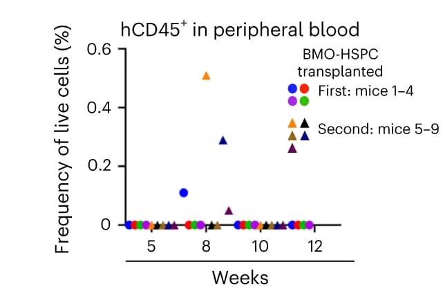 Open access visualization of Scatter Plot, Human Chimerism, Peripheral Blood, Transplanted Mice, Quantification