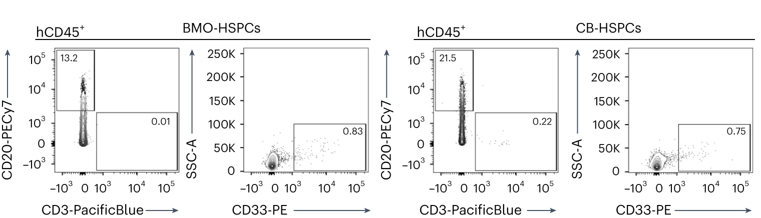 Open access visualization of Scatter Plot, Flow Cytometry, Surface Marker Expression, hCD45+ Cells, BMO-derived HSPC Transplant