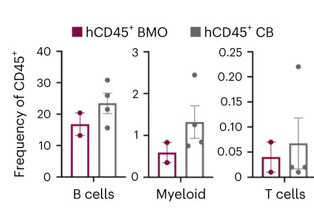 Open access visualization of Bar Plot, Error Bars, Scatter Plot, hCD20+ B Cells, hCD33+ Myeloid Cells