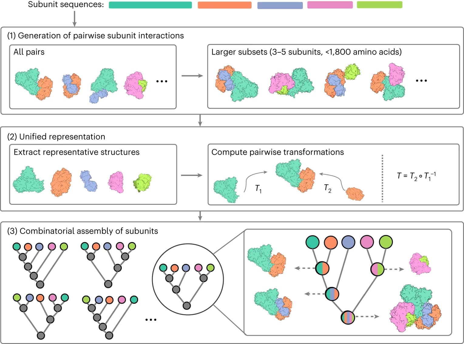Open access visualization of Workflow, Illustration, Subunit Sequences, Structure Prediction, AFM