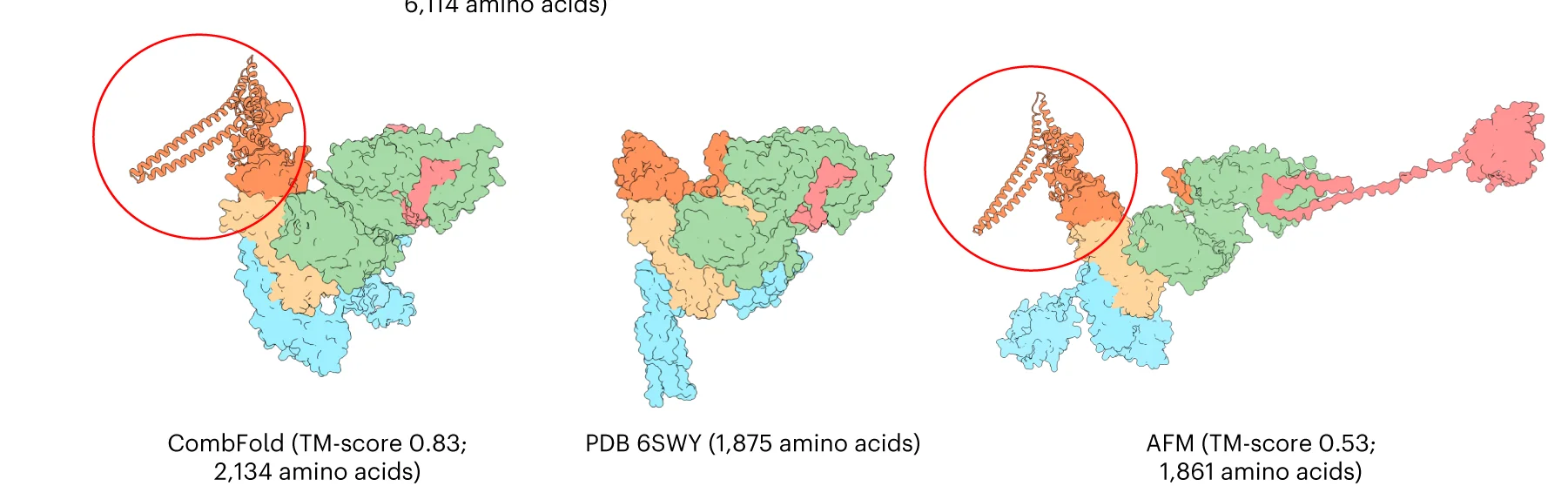 Open access visualization of Protein Structure, GID E3 Ubiquitin Ligase Complex, CombFold, Model, Cryo-EM Structure