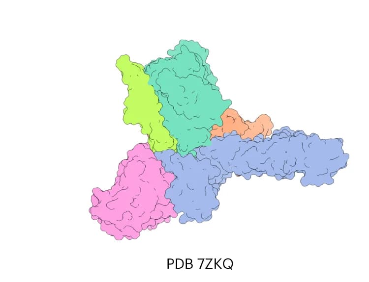 Open access visualization of Protein Structure, Experimental Structure, Module Assembly, Interaction Graph, Subunit