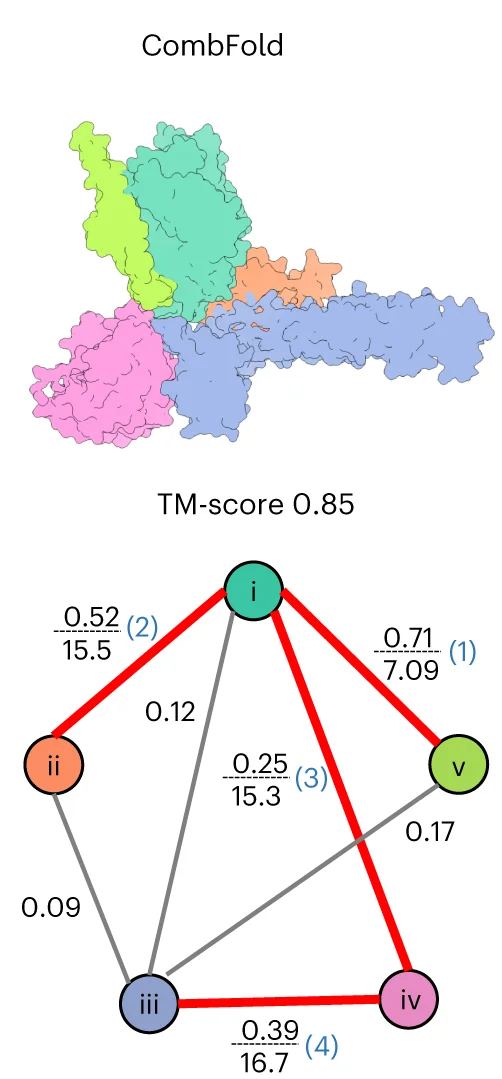 Open access visualization of Protein Structure, Network, Predicted Models, Pairwise Interactions, DockQ