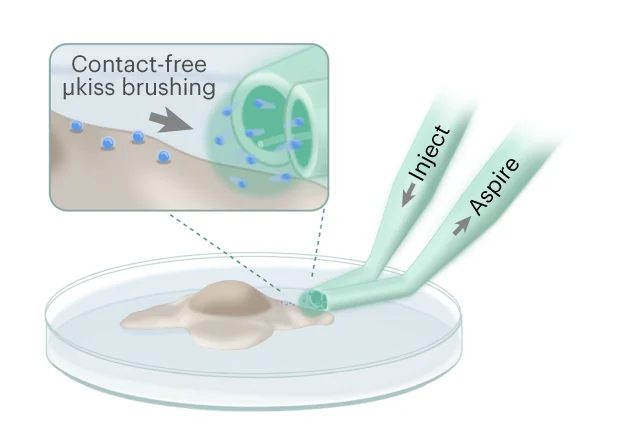 Open access visualization of Illustration, Workflow, Micropipette, Live Cells, Coating