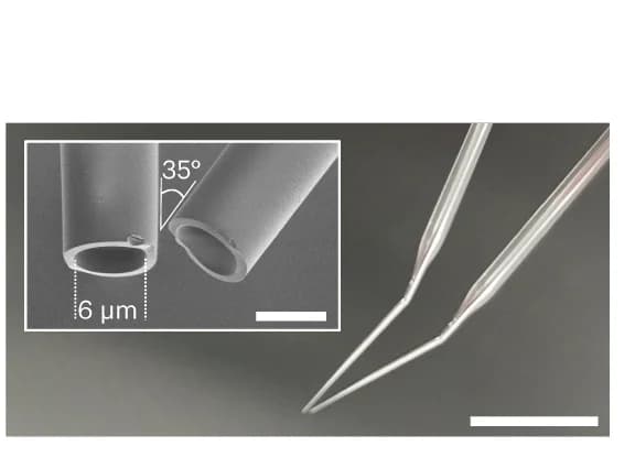 Open access visualization of Microscopy, Micropipette, SEM Image, Tapered Micropipettes