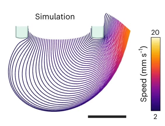 Open access visualization of Line Plot, Flow Lines, Gold Nanoparticles, Simulation