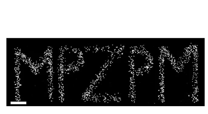 Open access visualization of Microscopy, Pattern, Glass Coverslip, Fluorescent Beads