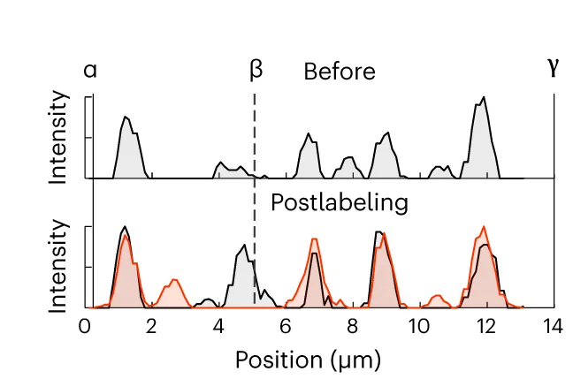 Open access visualization of Line Plot, Density Plot, Fluorescence Signal, Transferrin, Labeling
