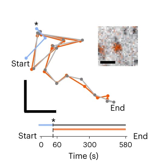 Open access visualization of Line Plot, Photo, Clathrin Spot, Transferrin, Trajectory