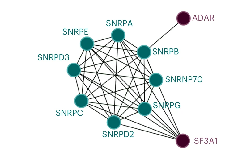 Open access visualization of Network, Pathway, Interaction Network Analysis, U1-Bound Proteins, TREX