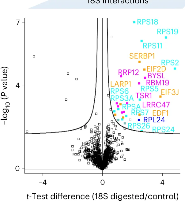 Open access visualization of Volcano Plot, Scatter Plot, 18S rRNA, TREX Samples, RPS Proteins