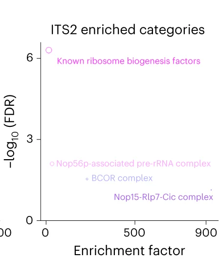 Open access visualization of Scatter Plot, Volcano Plot, Fisher's Exact Test, Protein Categories, ITS2
