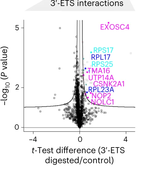 Open access visualization of Volcano Plot, Two-Sample T-Test, 3'-ETS, TREX, Biological Replicates