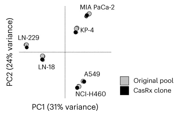 Open access visualization of Scatter Plot, PCA, PCA Plot, Variable Genes, RNA-seq