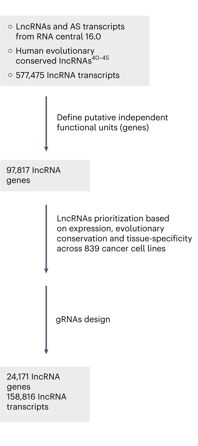 Open access visualization of Workflow, Flowchart, LncRNA Genes, CasRx Library