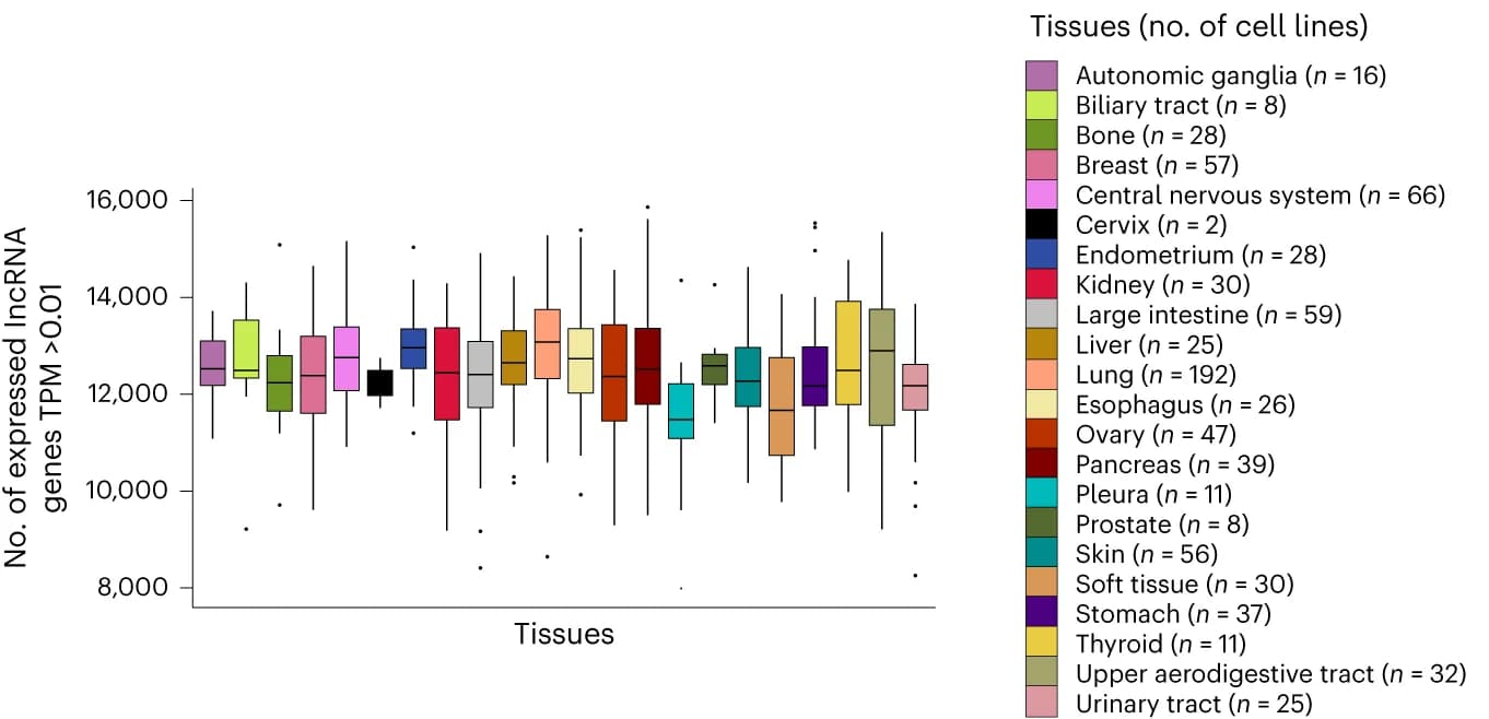 Open access visualization of Box Plot, LncRNA Genes, Cancer Cell Lines, Tumor Tissue