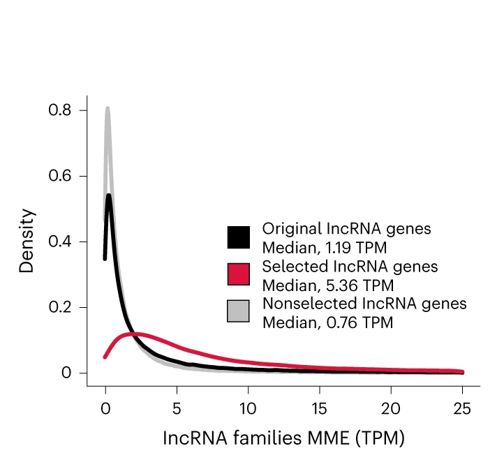 Open access visualization of Line Plot, Density Plot, LncRNA Genes, Gene Expression