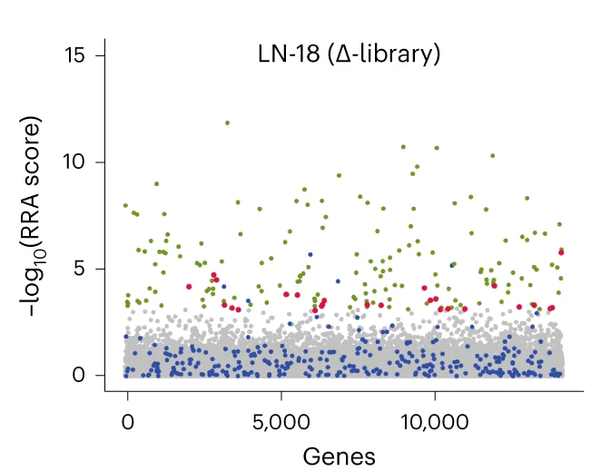 Open access visualization of Scatter Plot, Volcano Plot, RRA, MAGeCK, LN-18 Cell Line