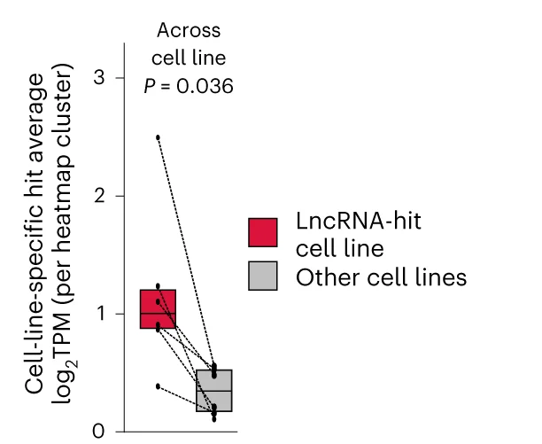Open access visualization of Box Plot, Scatter Plot, Line Plot, Boxplots, LncRNAs