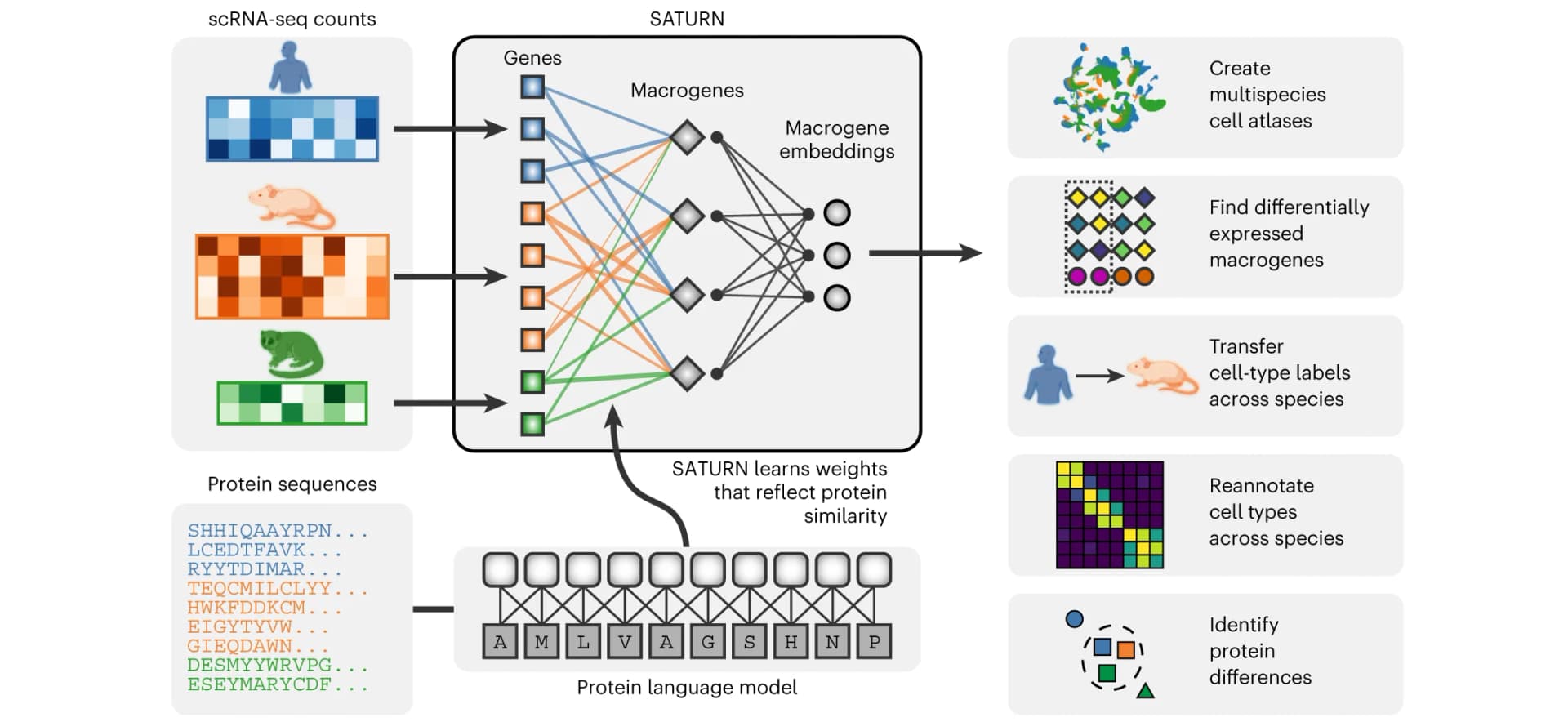 Open access visualization of Workflow, Illustration, Heatmap, Scatter Plot, Network