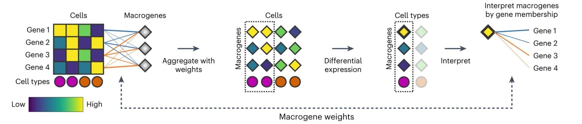 Open access visualization of Workflow, Flowchart, SATURN, Differential Expression, Macrogenes