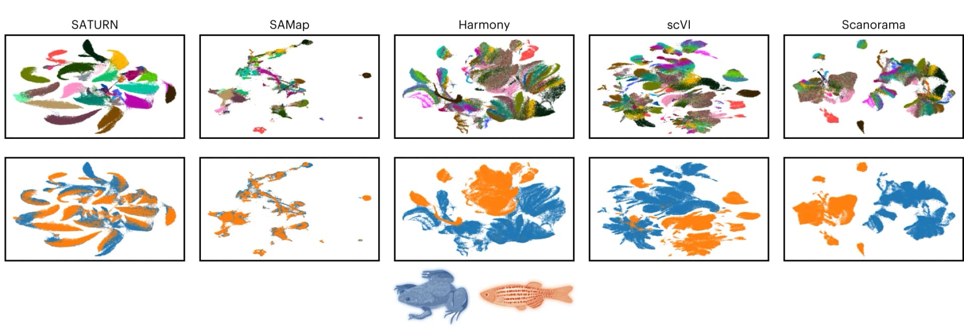 Open access visualization of Scatter Plot, UMAP, PCA, UMAP Visualizations, SATURN