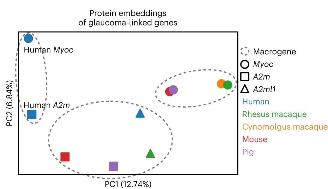Open access visualization of Scatter Plot, PCA, SATURN, Protein Embeddings, Multispecies
