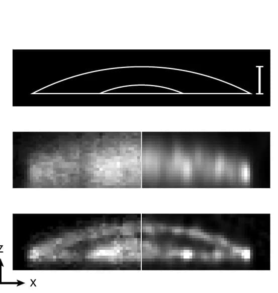 Open access visualization of Microscopy, Membranes, OPM, RESOLFT, Deskew Algorithm