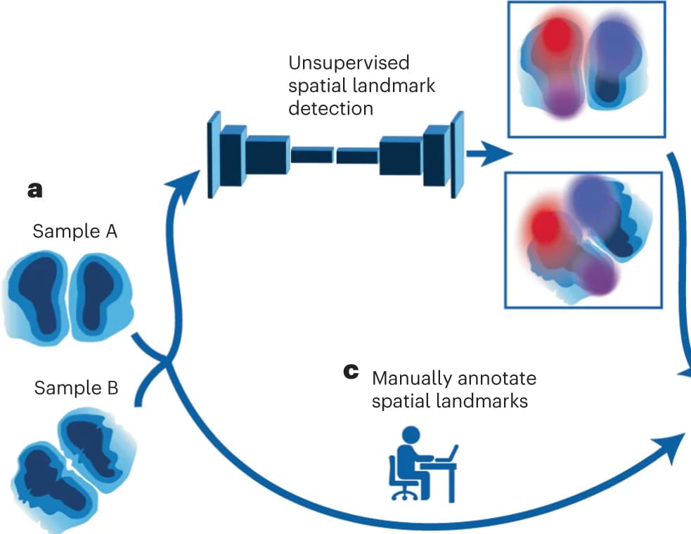 Open access visualization of Workflow, Sections, Landmarks