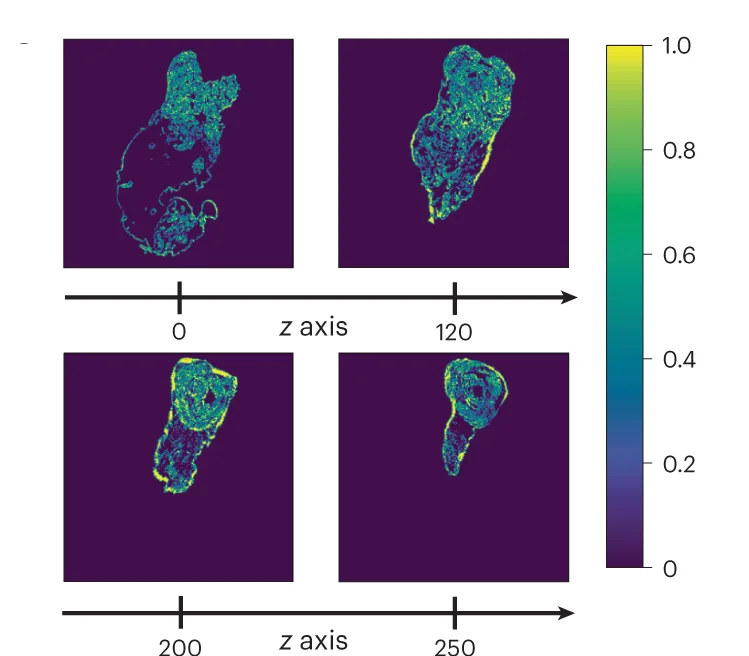 Open access visualization of Microscopy, Absolute Error, Manual Alignment, ELD, Z-Stack